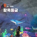 신나는 | 충주 활옥동굴 투명카약 코스안내 신나는 후기