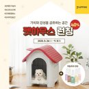 펫하우스 이미지