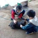 명주초병설유치원 이미지