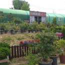 금천농원 이미지