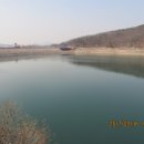 팔현1리 | 천마산 (팔현계곡) 3월 봄야생화