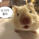 맛짱마라탕 이미지