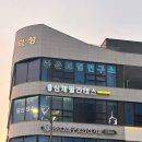 심제기구필라테스 | 아산 탕정 필라테스 스튜디오 <심제 필라테스> 방문 솔직 후기