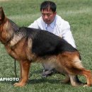 CSV 2008 심양전람회 성견수조 상력 이미지