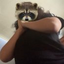 마인드풀스터디 이미지
