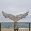 바다정원 이미지