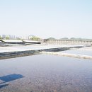 동화마을 생태공원 2 이미지