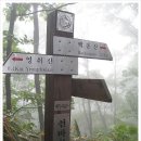 무룡고개~지지터널 이미지