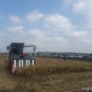 사성1리 이미지