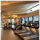 피티가치 시청 연산 이미지