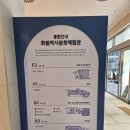 역사문화체험관 | 대구 아이와 가볼만한곳 화원역사문화체험관 체험 후기