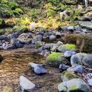 돋을볕펜션 이미지