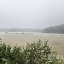 곡성-196 이미지