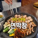 시선 | 대전 오류동 맛집 연막창 서대전역 근처 막창 맛집 솔직 후기