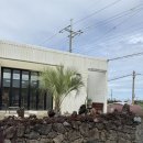 초당에너지 | 제주 서쪽 숨은 핫플! &#39;열두달카페&#39; 초당 옥수수 빙수·베이글 샌드위치 맛집 + 애견동반 가능