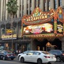 터미널관광나이트 이미지