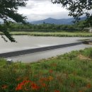 풍경농장 이미지