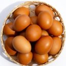 토리짐 휘트니스 이미지