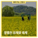 아람누리도서관 동아리실 | [공지] 🌼 2026 창릉천 유채꽃 축제 *개화시기 지연 🌼 - 고양시청 알림
