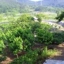 우금2농장 이미지