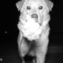 아이콘노래연습장 이미지