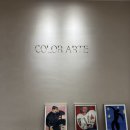 퍼스널컬러 | 성수 퍼스널컬러 후기/컬러아르떼/퍼스널컬러, 파우치 검사, 화장품 추천