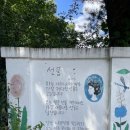 애플미술 | 공주여행4. <나태주 풀꽃문학관><공주하숙거리><연미산자연미술공원> 후기.