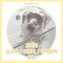 그루머솔 이미지