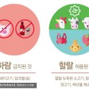 크라운인증원