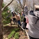 줄포초등학교 이미지