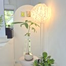 오월부동산중개 이미지