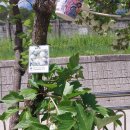 봉오초등학교 이미지