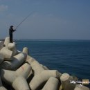 조약돌민박 이미지