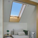 스테이조제 이미지