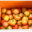 해오름농장 2 이미지