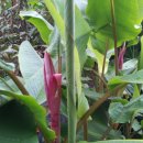 추대농장 이미지