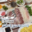 올레강민 | 제주 올레시장 서귀포맛집 내돈내산 추천 ㅣ올레강민