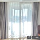 조은수입