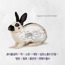 토끼토기