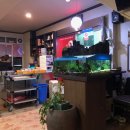 내곡동694 | 내곡동 중국집 추천 - 장수면에서 점심식사를~