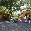 미르오토 이미지