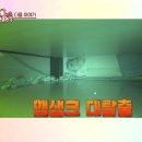 기현농장 이미지