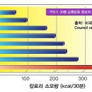 머슬앤핏 이미지