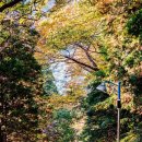 어린이대공원-5 이미지