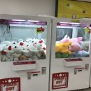 초이스 게임장 이미지