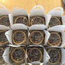 해가빛어린이집 이미지