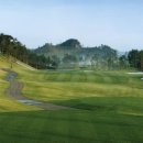 오션비치 이미지