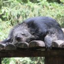 (주)좋은사료자원 이미지