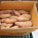 효정농장(2) 이미지