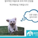 리안 동물병원 이미지